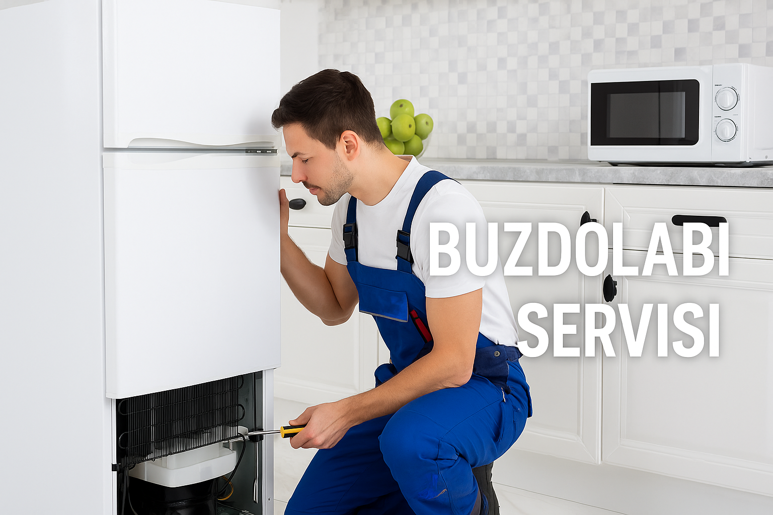 Hizmetlerimiz Buzdolabı servisi: ev tipi ve ticari buzdolapları